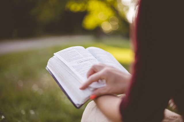 Featured Post Image - How do we know what books belong in the biblical canon?