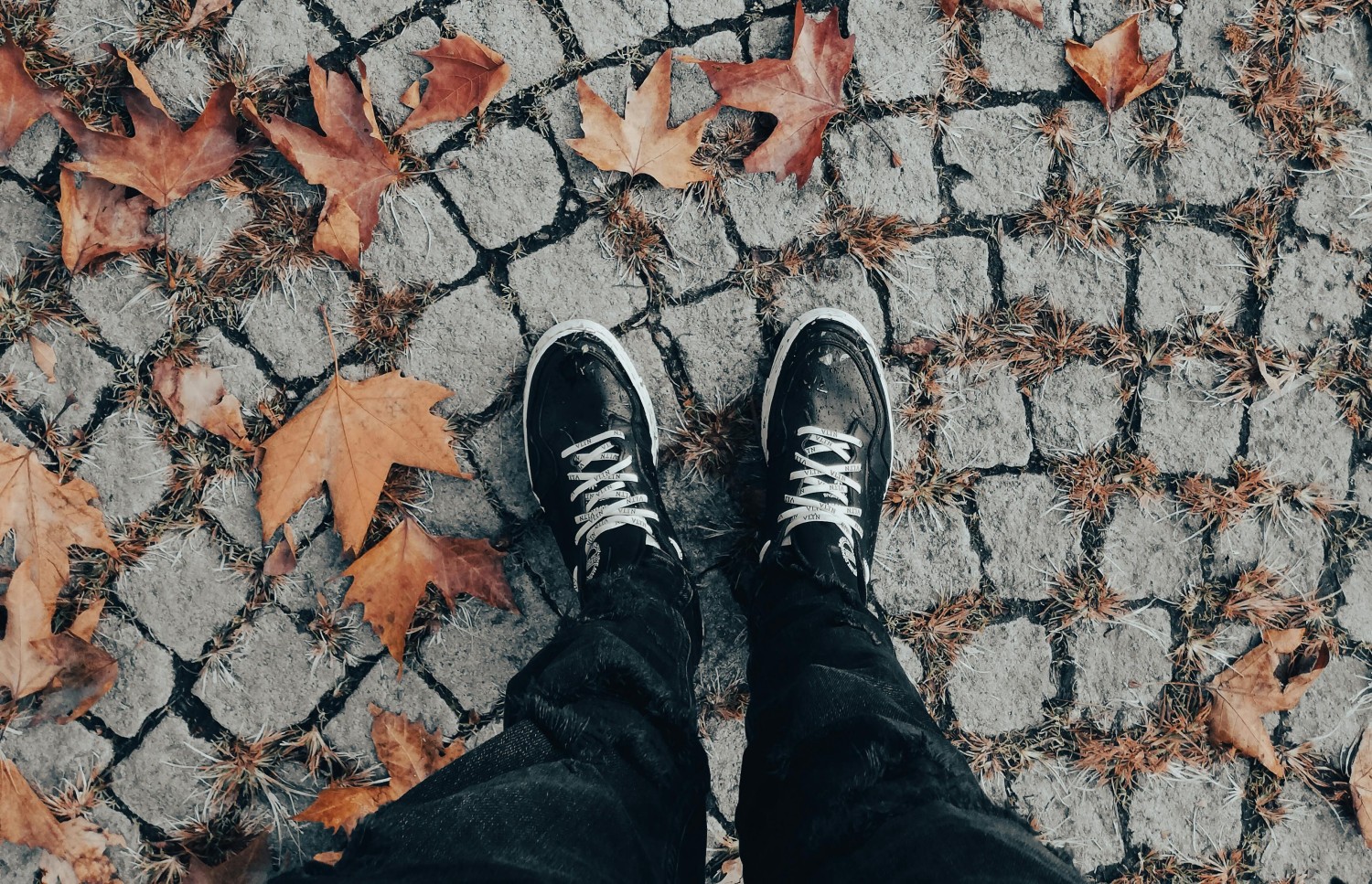 Featured Post Image - More tests before acting