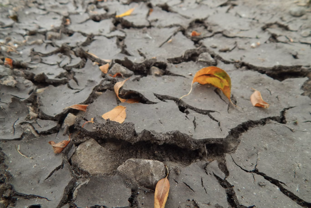 Featured Post Image - Why Me?