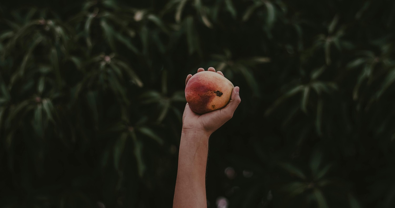 Featured Post Image - Meeting God in the cool of the day