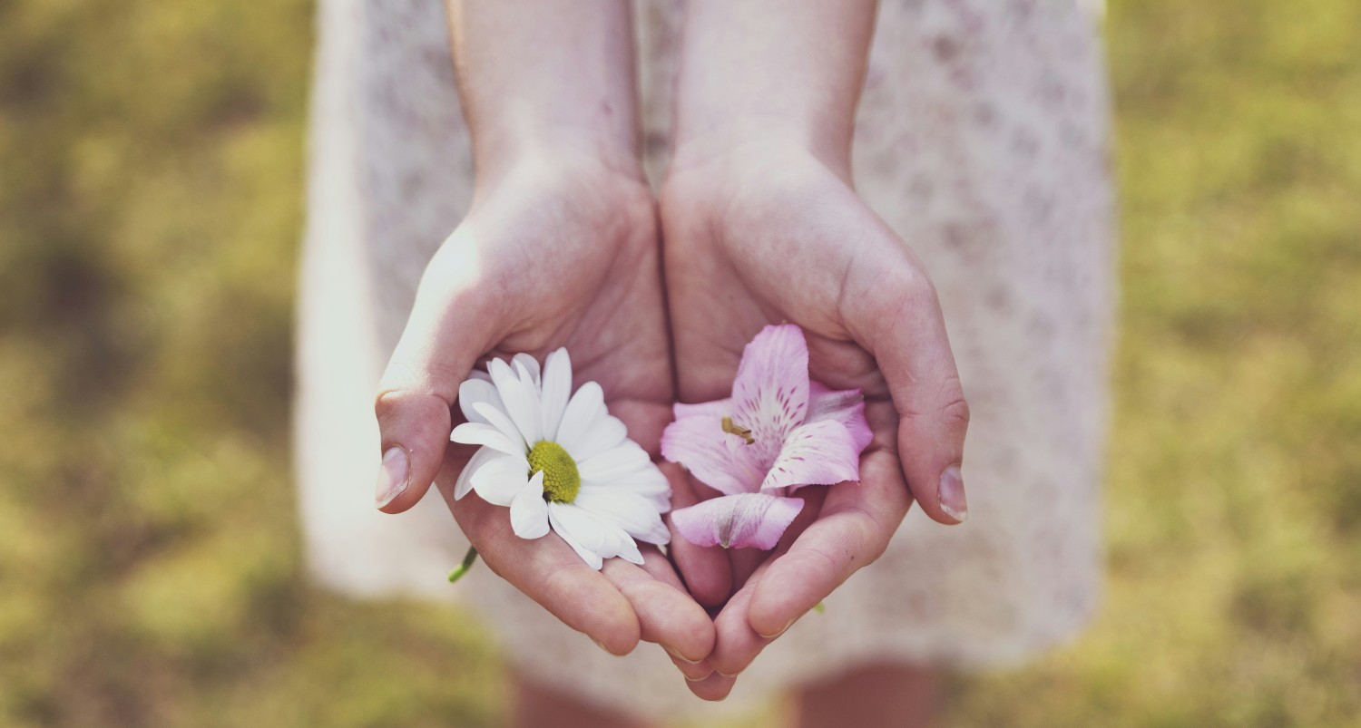 Featured Post Image - Thanksgiving means giving