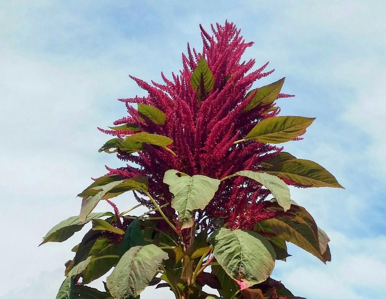 Featured Post Image - Heaven as an inheritance